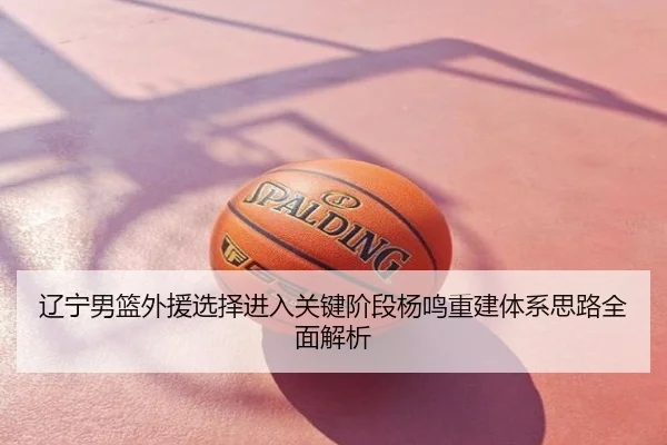 辽宁男篮外援选择进入关键阶段杨鸣重建体系思路全面解析