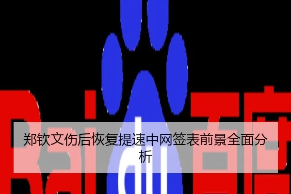郑钦文伤后恢复提速中网签表前景全面分析